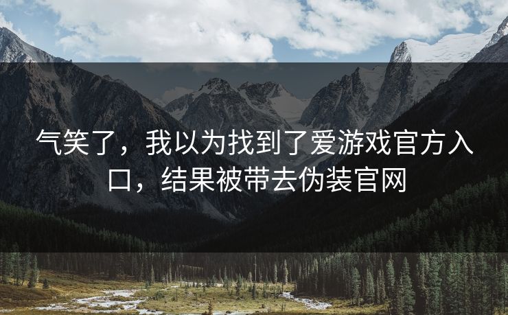 气笑了，我以为找到了爱游戏官方入口，结果被带去伪装官网