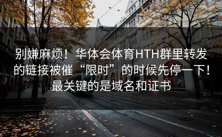 别嫌麻烦！华体会体育HTH群里转发的链接被催“限时”的时候先停一下！最关键的是域名和证书